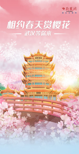 相约春天赏樱花 武汉等你来